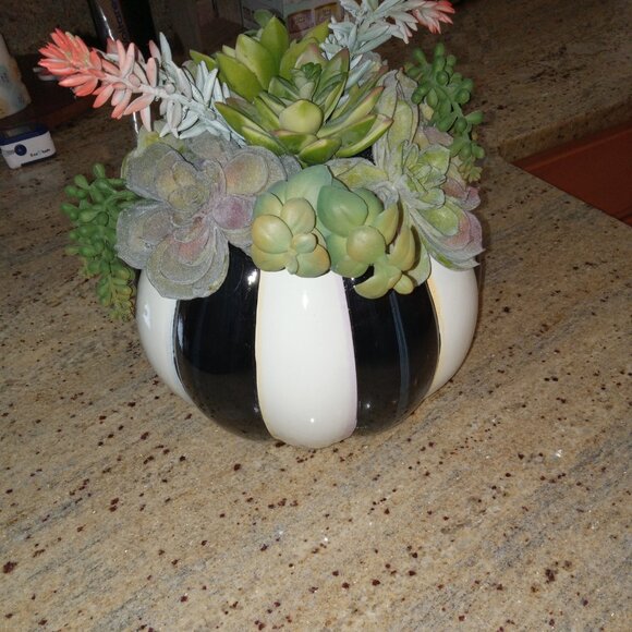 Mackenzie Childs Potted Succulent Plants - Picture 1 of 4